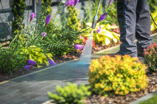 Best Dumpster Area Cleaning  in Woodsfield, OH